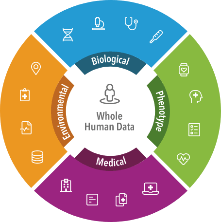 Longitudinal Data Wheel